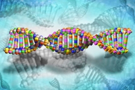 DNA