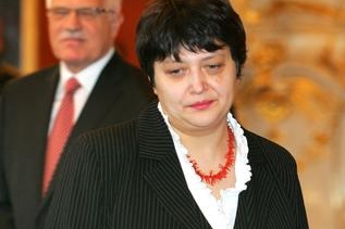 Ministryně bez portfeje Džamila Stehlíková