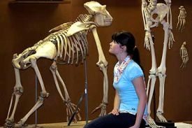 Z evoluce devoluce a pak revoluce: člověk mezi opy