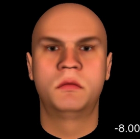 Nedůvěryhodná tvář