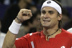 David Ferrer