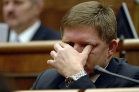 Slovensk&yacute; premi&eacute;r Robert Fico.