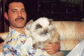 Pořad o oblíbených jídlech Freddie Mercuryho ale diváci uvidí.