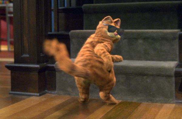 Kocour Garfield slaví třicetiny.