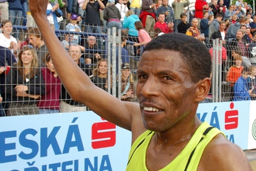 bez popisku 13703
