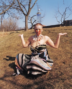 Z cyklu Absolut Bromová II., 2003