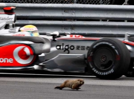 V&iacute;těz kvalifikace Lewis Hamilton předjel i svi&scaron;tě.
