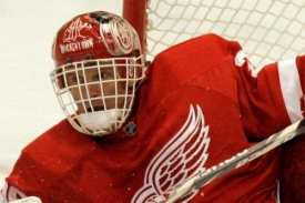 Dominik Ha&scaron;ek