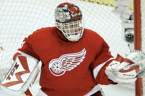 Dominik Hašek