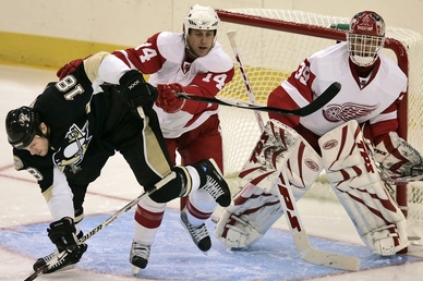 Brankář Detroitu Dominik Hašek 