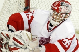 Gólman Detroitu Dominik Hašek