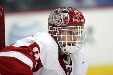 Dominik Hašek