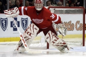 Gólman Detroitu Dominik Hašek.