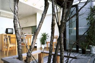 Tiny house od Sugiury je přímo učebnicovým příkladem efektivního uspořádání miniaturní prostor tak, aby obyvatelům poskytovaly maximální pohodlí a zároveň nepůsobily dojmem, že se místem šetřilo za každou cenu.