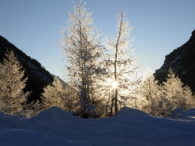 Jižn&iacute; Tyrolsko. Ilustračn&iacute; foto.