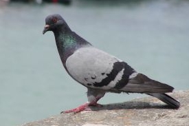 bez popisku 17050