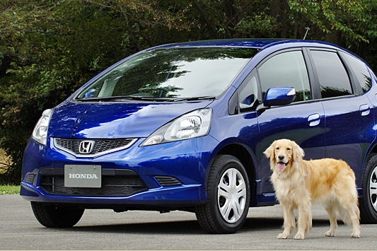 Auto navrhovali v Japonsku se speciálním ohledem na psy.