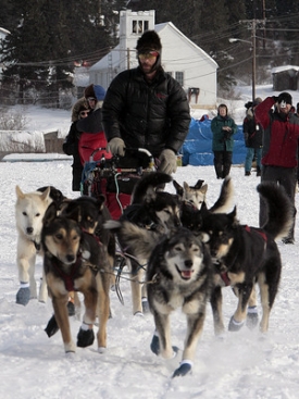 V&iacute;těz z&aacute;vodu ps&iacute;ch spřežen&iacute; Iditarod Lance Mackey.