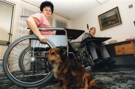 Ilustrační foto