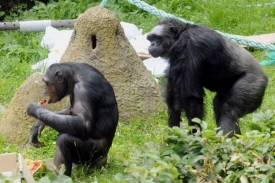 Chomutovská zoo má novou ředitelku.