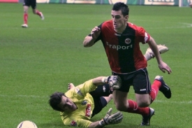 Martin Fenin