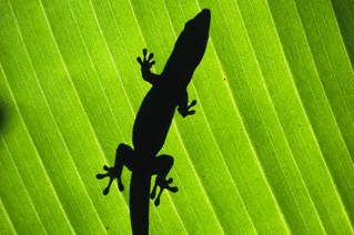 Ilustrační foto.