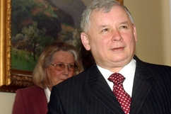 bez popisku 7334 bez popisku 7334