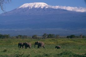Kilimanjaro