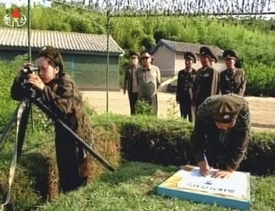 Kim v zeleném - ve všech směrech.