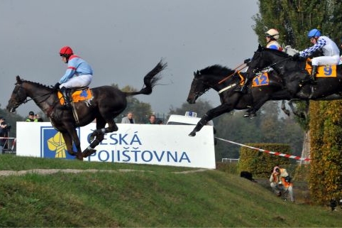 Kůň Klip(číslo 4) na jedné z překážek než došlo k tragickému zranění. Kůň Klip(číslo 4) na jedné z překážek než došlo k tragickému zranění.