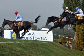 Kůň Klip(č&iacute;slo 4) na jedn&eacute; z přek&aacute;žek než do&scaron;lo k tragick&eacute;mu zraněn&iacute;.