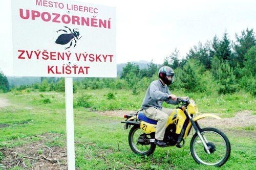 bez popisku 13564