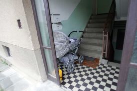 Koč&aacute;rek na sn&iacute;mku zřejmě patř&iacute; druh&eacute; oklaman&eacute; rodině