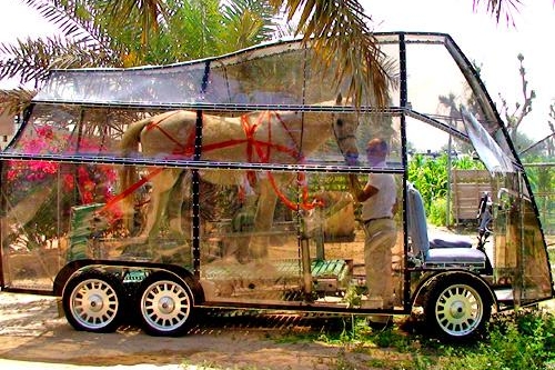 Naturmobil1