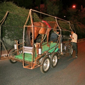 Jedna koňská síla stačí k maximální rychlosti 80 km/h.