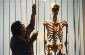 Obejde se umělec bez znalosti anatomie? Ilustračn&iacute; foto.