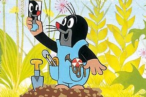 Ilustrační foto.