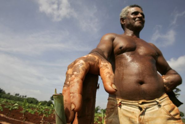 Nové dekrety mají motivovat farmáře a zemědělská družstva.