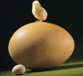 Ilustrační foto.
