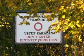 ilustrační foto