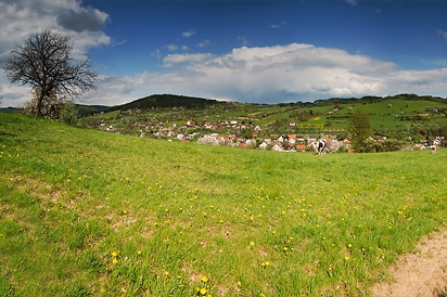 Vesnicí roku pro rok 2008 je valašská obec Lidečko.