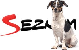 seznam