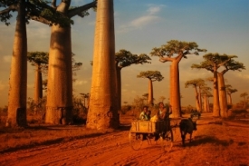 Šťastný život na Madagaskaru představí Vladimír Lemberk.