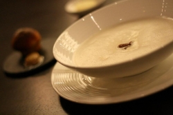 Celerov&eacute; velout&eacute; (pol&eacute;vka) s kachn&iacute;m rag&uacute; a hř&iacute;bkovou brio&scaron;kou.