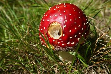 bez popisku 79549