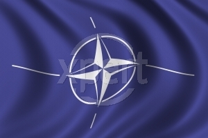Znak NATO Znak NATO