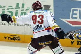 Petr Nedvěd