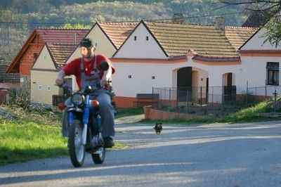 Ilustrační foto Ilustrační foto