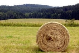 Ilustrační foto