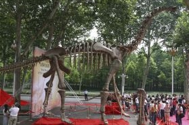 Objev z provincie Che-nan, 2007. Objev z provincie Che-nan, 2007.